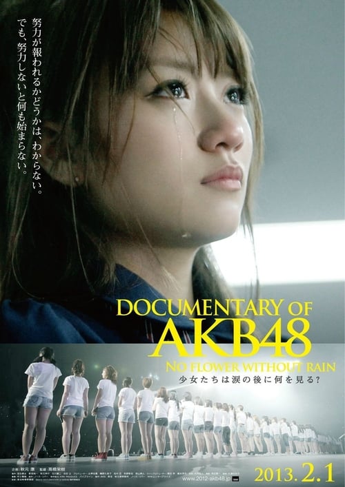 Documentary of AKB48 No Flower Without Rain