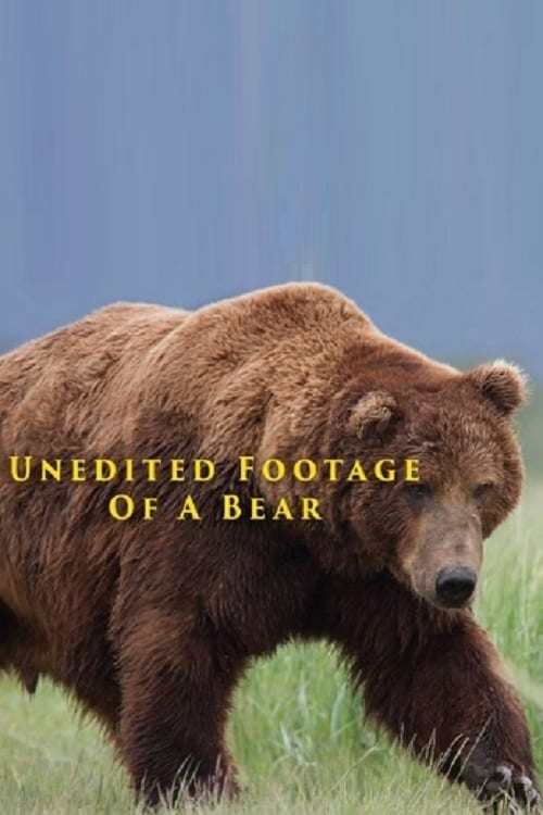 Unedited Footage of a Bear