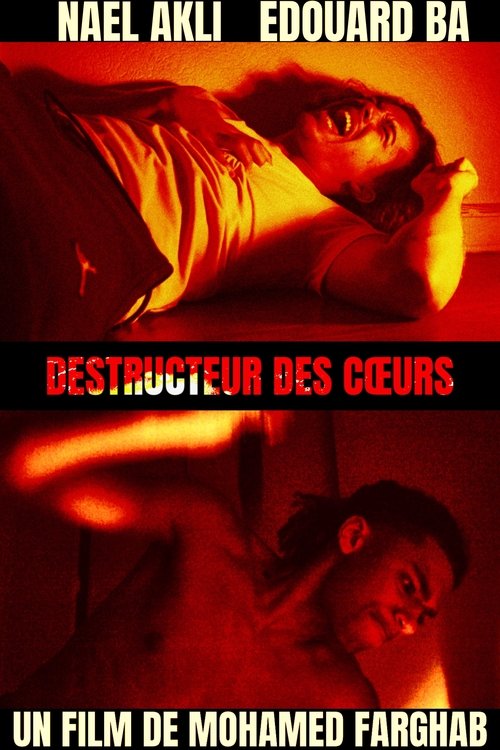 Destructeur des cœurs